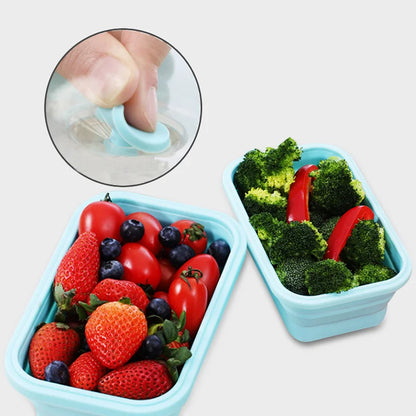 4pc Food Storage Collapsible Containers